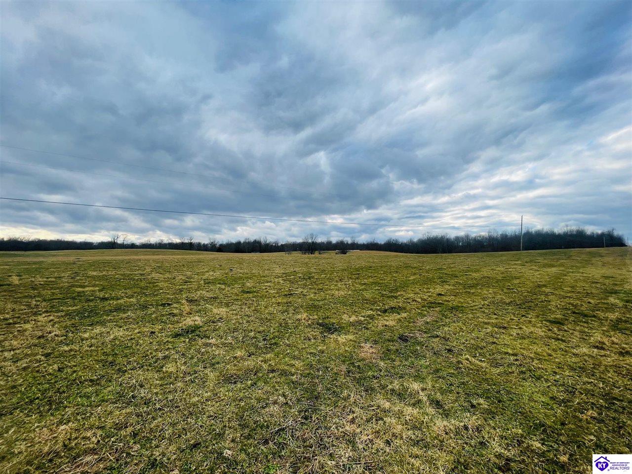 0 Hardyville Road Hardyville, KY 42746 #2