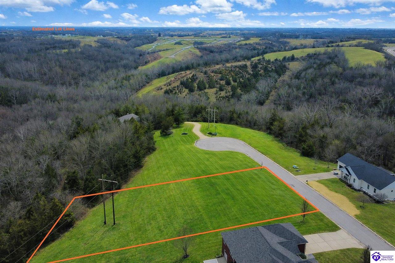 121 Lynnwood DriveWilliamstown,&nbsp;KY&nbsp;41097