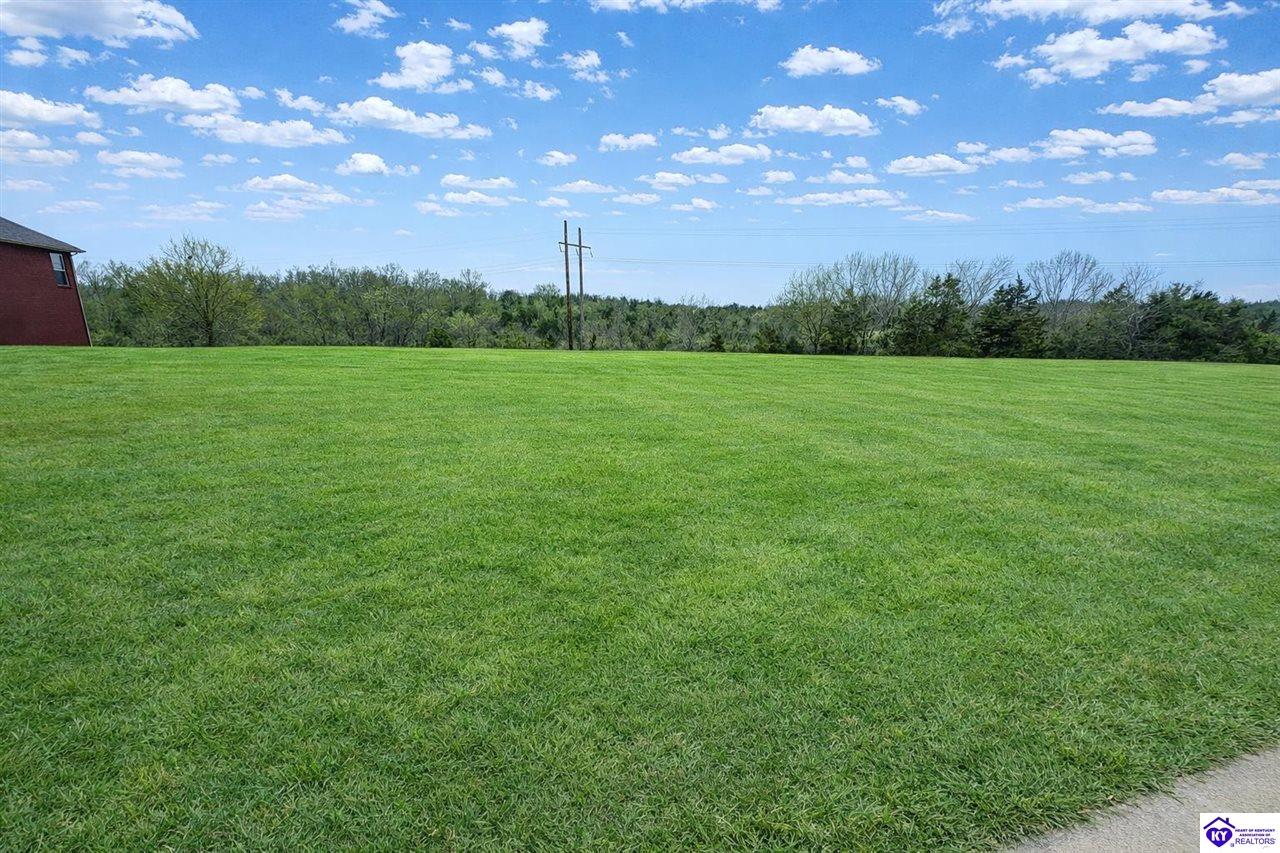 121 Lynnwood Drive Williamstown, KY 41097 #4