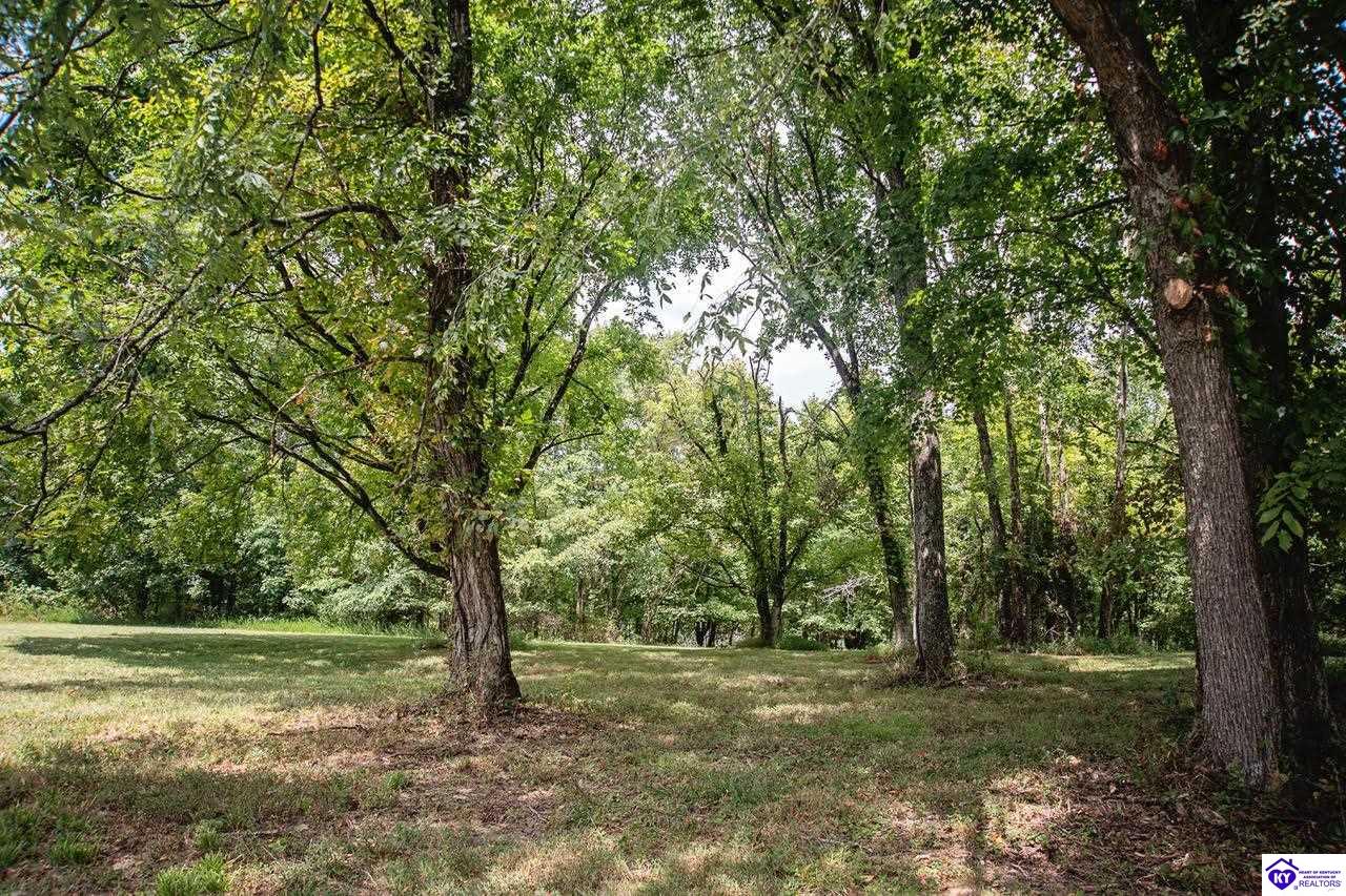13300 Scottsville Road Lucas, KY 42156 #1