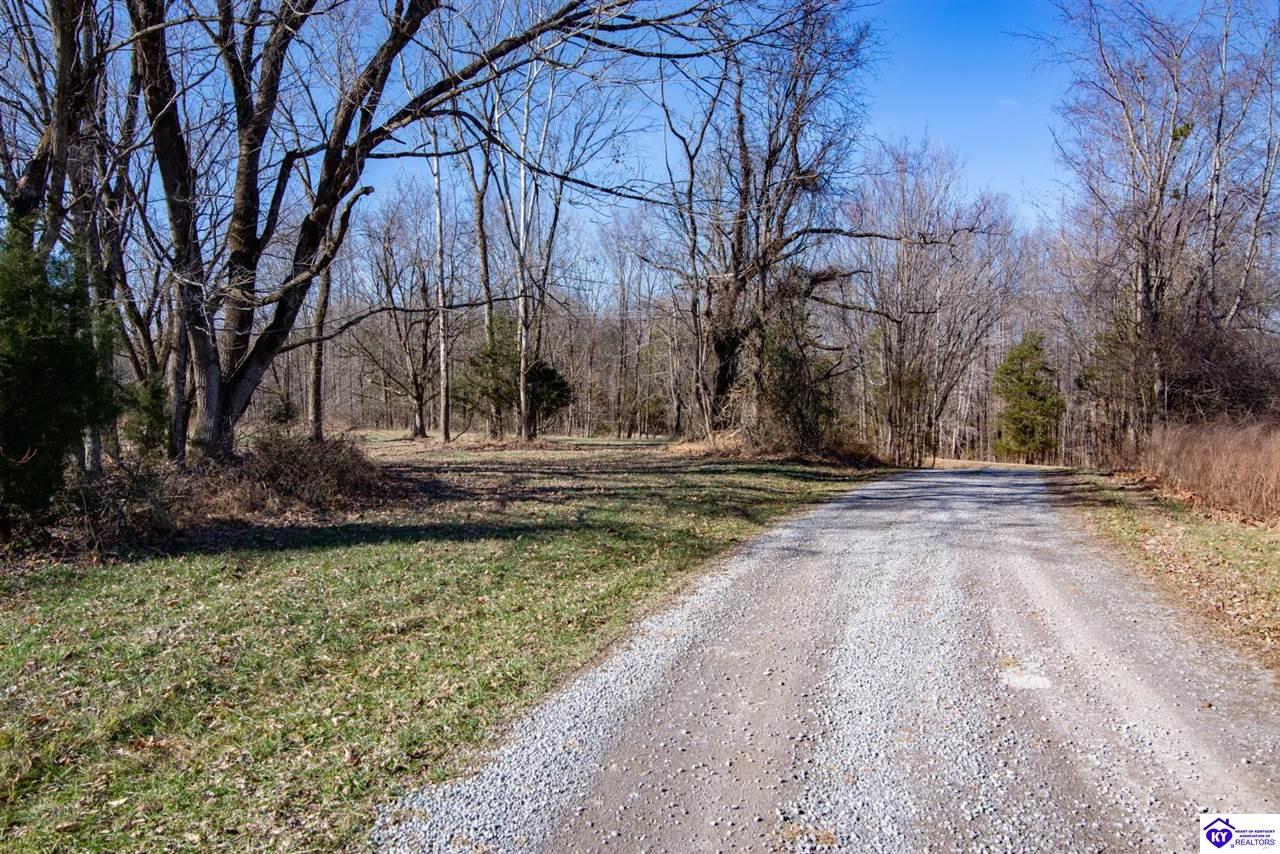 13300 Scottsville Road Lucas, KY 42156 #2
