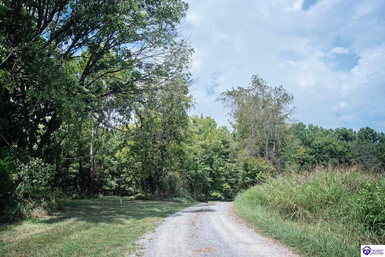 13300 Scottsville Road Lucas, KY 42156 #3