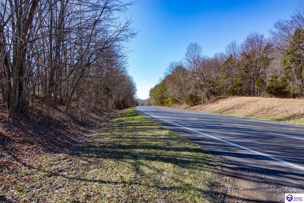 13300 Scottsville Road Lucas, KY 42156 #4