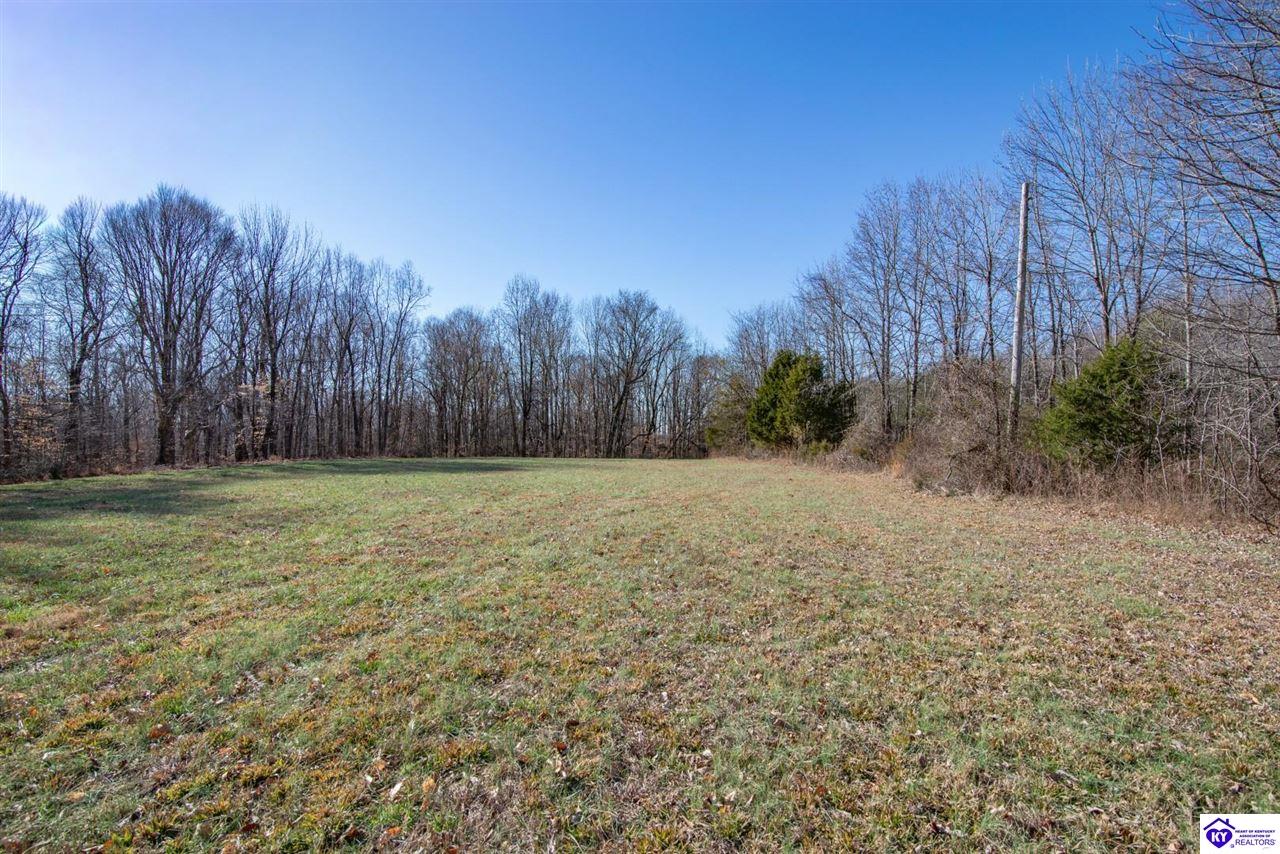 13300 Scottsville Road Lucas, KY 42156 #4