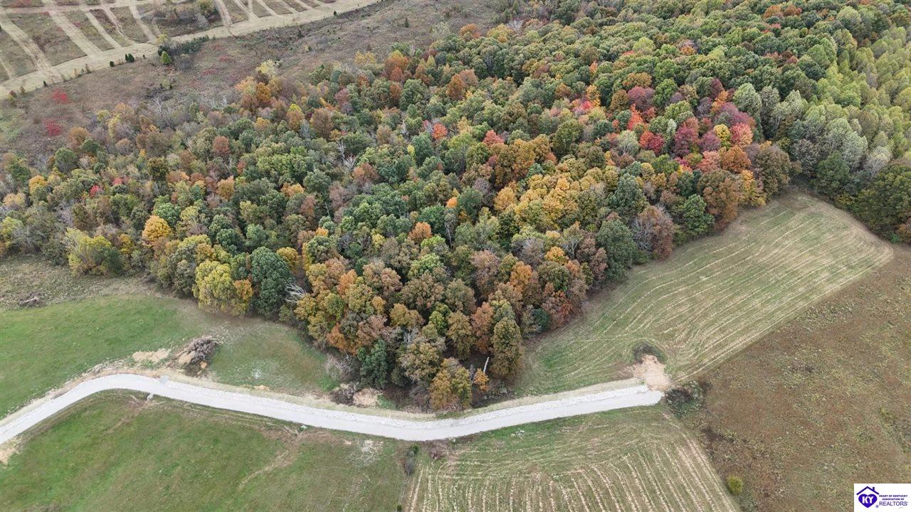 Tract 5 & 8 Troutman Lane Clarkson, KY 42726 #1
