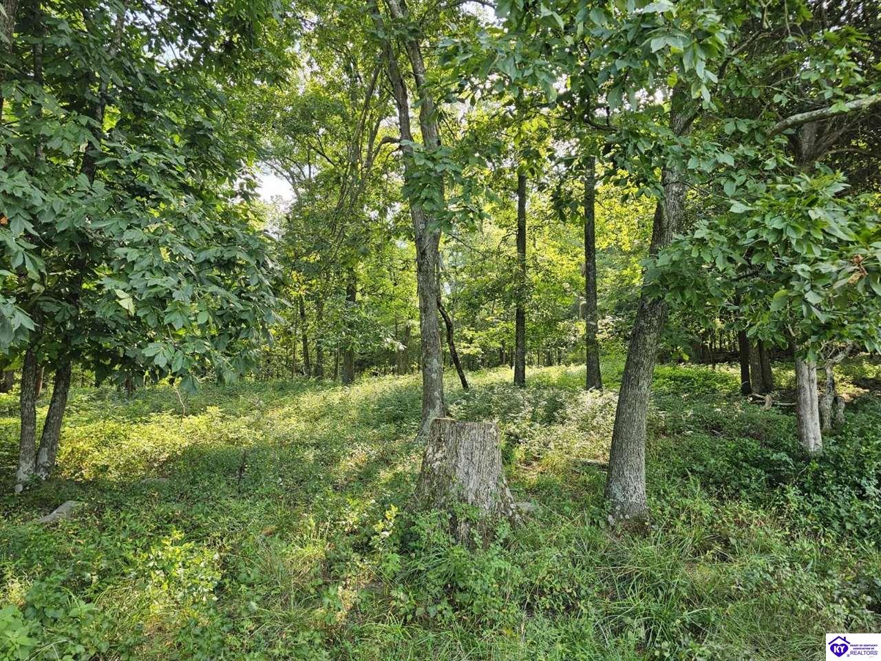 Tract 5 & 8 Troutman Lane Clarkson, KY 42726 #2