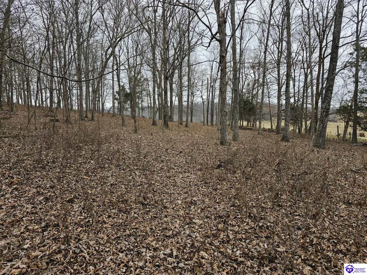 Tract 5 & 8 Troutman Lane Clarkson, KY 42726 #3