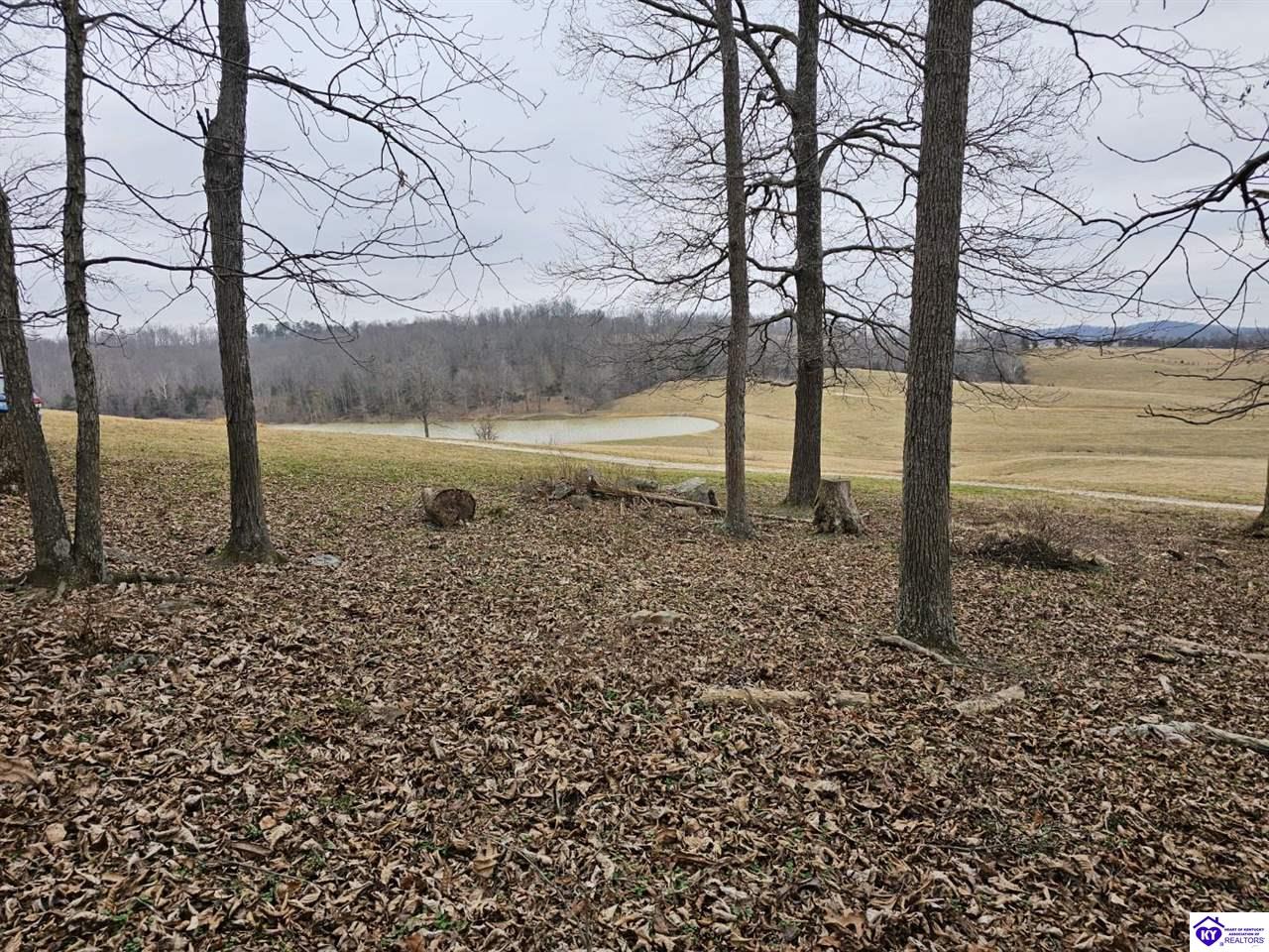 Tract 5 & 8 Troutman Lane Clarkson, KY 42726 #4