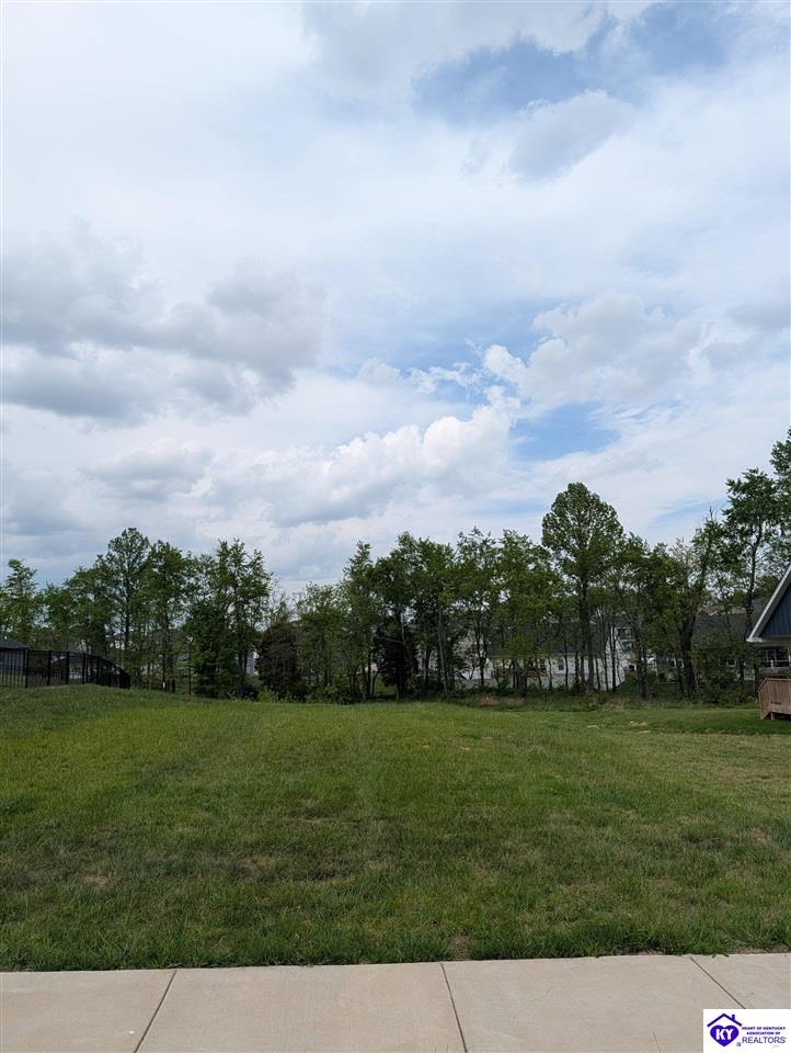 109 ashwood avenue Elizabethtown, KY 42701