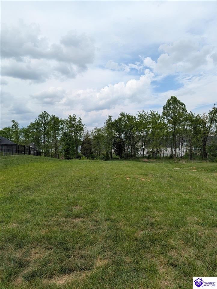 109 Ashwood Avenue Elizabethtown, KY 42701 #1