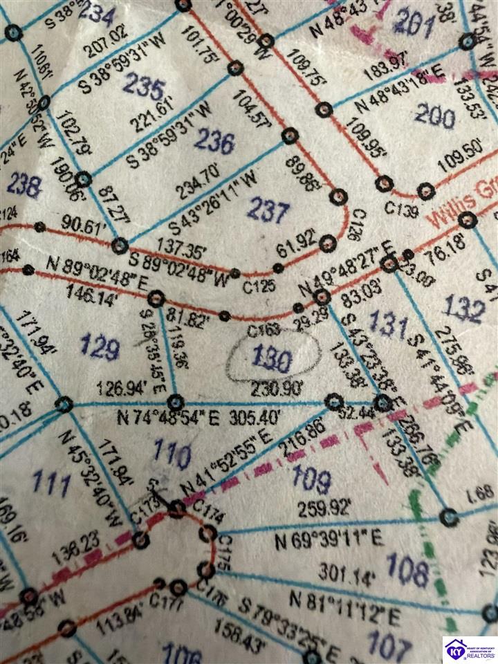 Lot 130 Willis Green Drive Falls Of Rough, KY 40119 #3