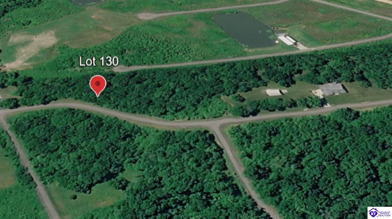 Lot 130 Willis Green Drive Falls Of Rough, KY 40119 #4