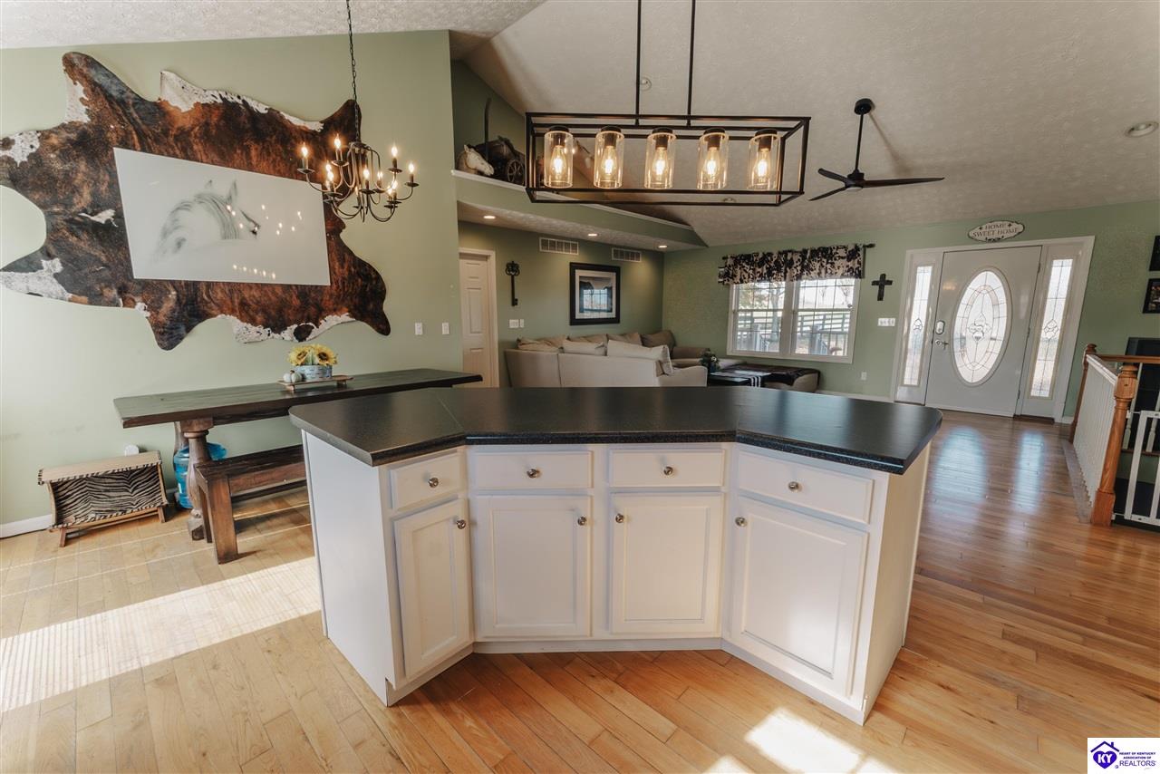 441 Knobview Drive Russell Springs, KY 42642 #4