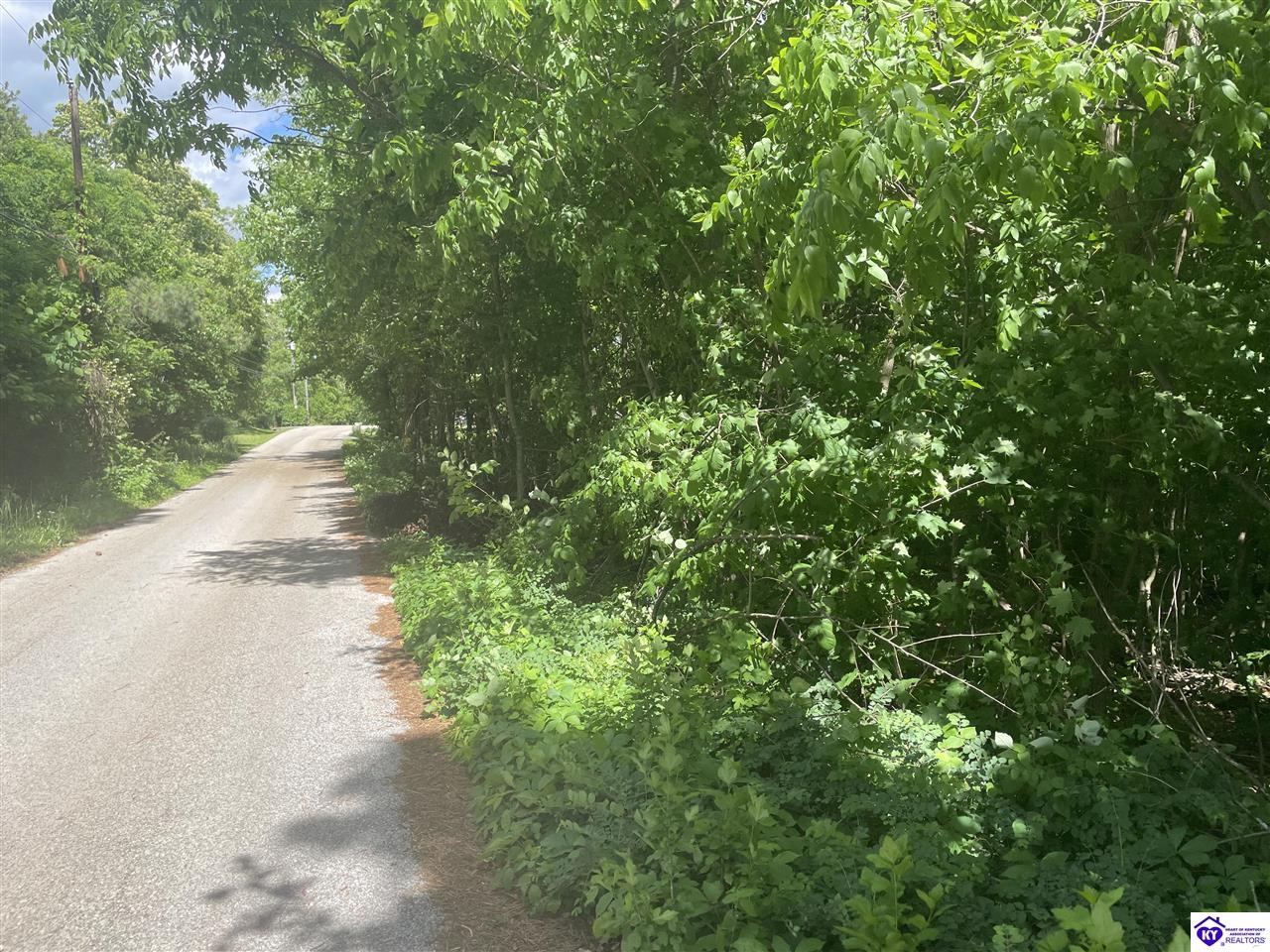 Lots 1-6 Millcreek Road Radcliff, KY 40160 #1