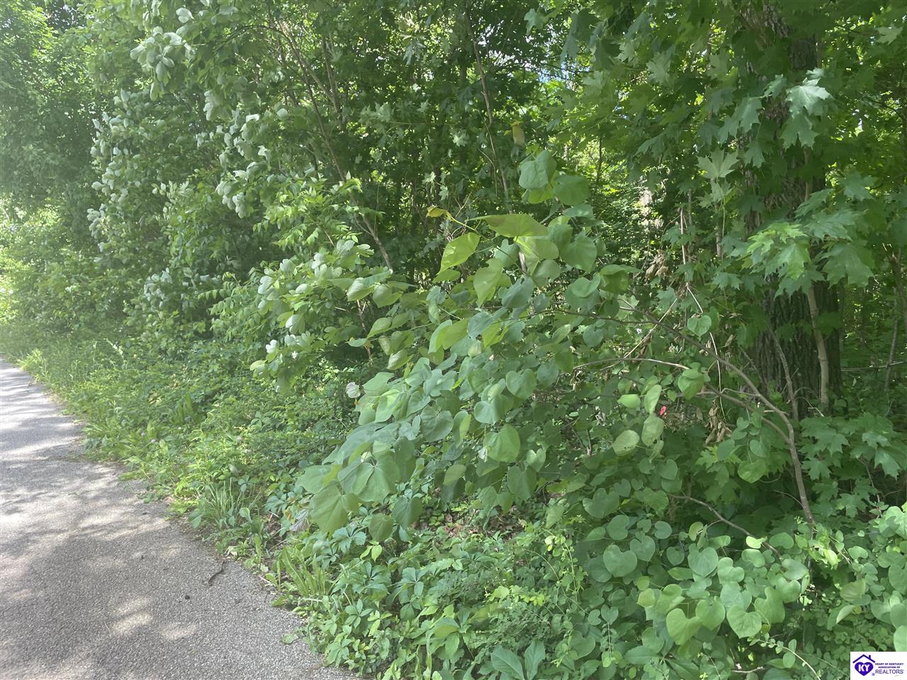 Lots 1-6 Millcreek Road Radcliff, KY 40160 #2