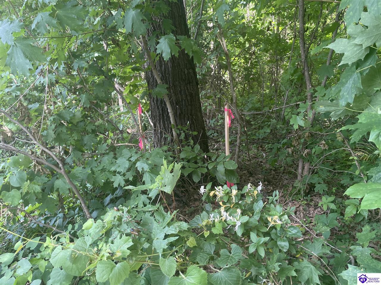 Lots 1-6 Millcreek Road Radcliff, KY 40160 #3