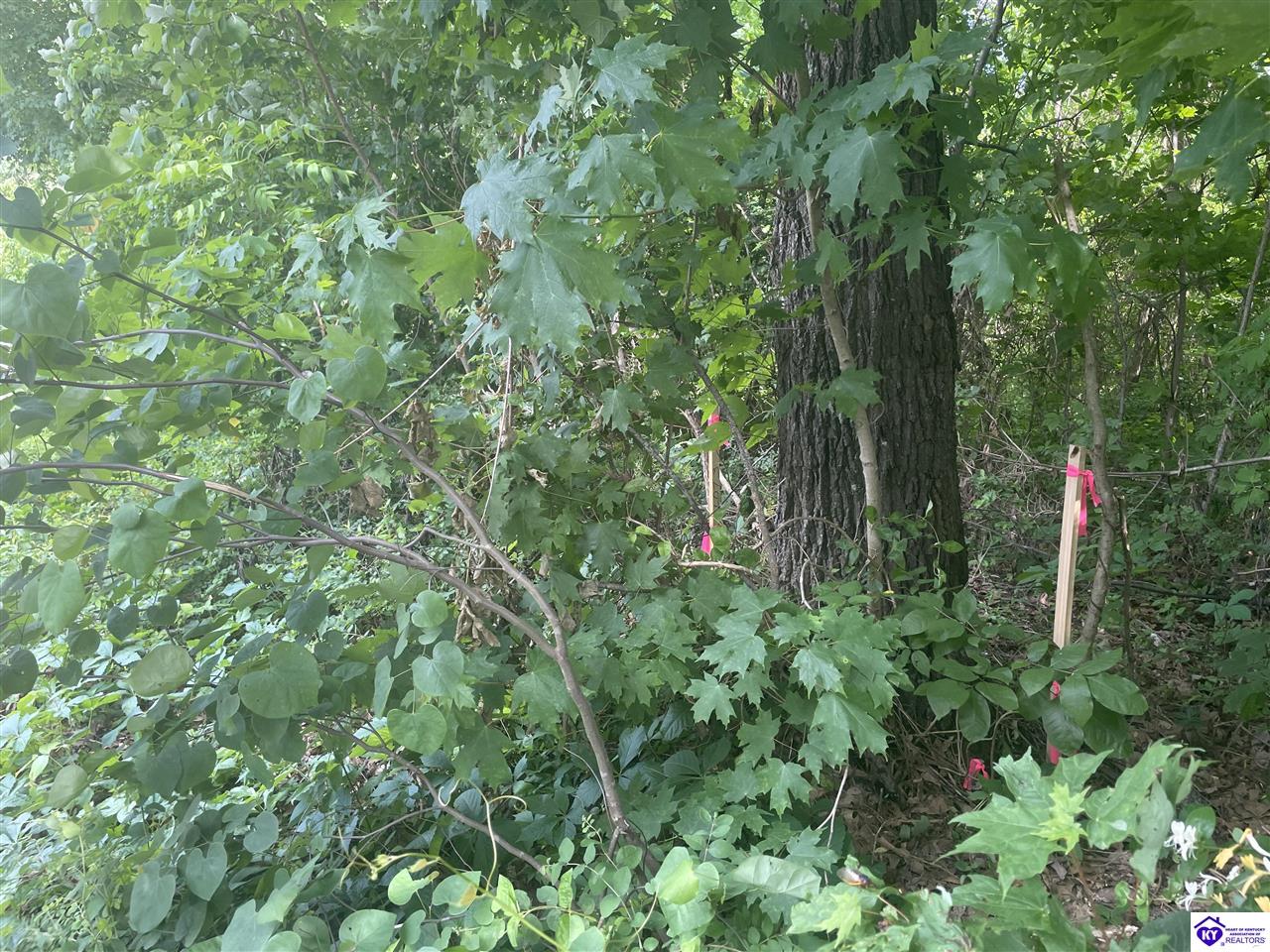 Lots 1-6 Millcreek Road Radcliff, KY 40160 #4