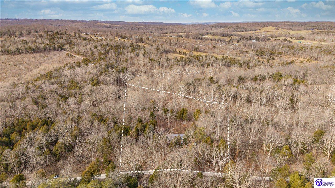 141 Abby Lane Irvington, KY 40146 #1