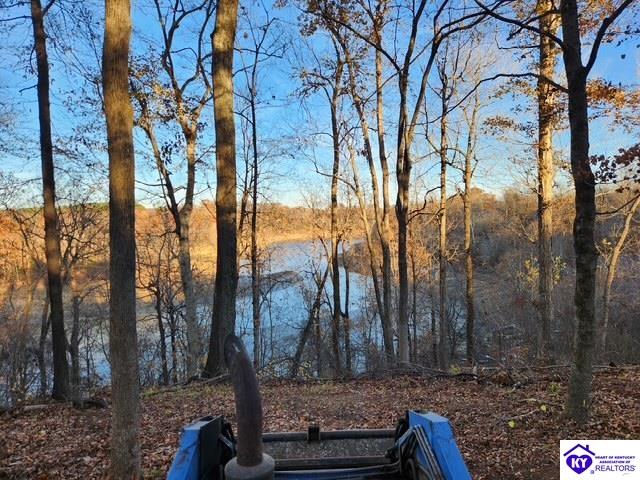 609 Paulette Way Falls Of Rough, KY 40119 #1