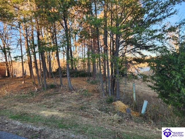 609 Paulette Way Falls Of Rough, KY 40119 #2