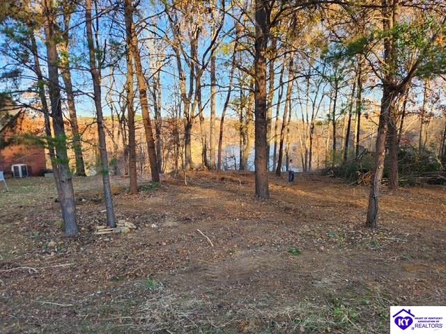 609 Paulette Way Falls Of Rough, KY 40119 #3