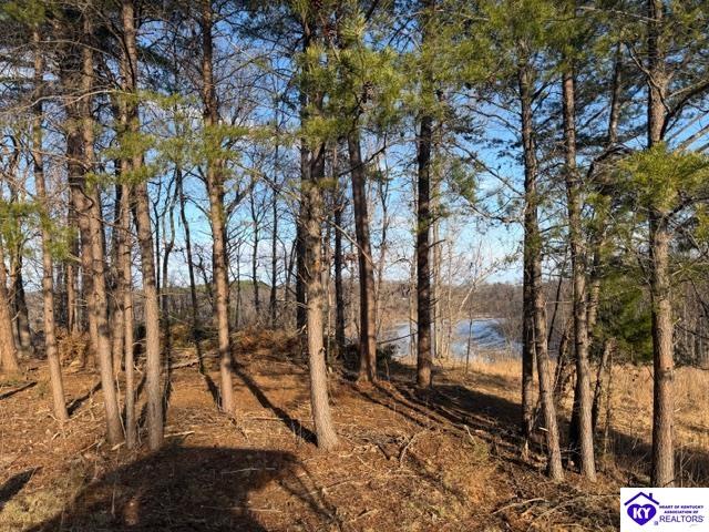 609 Paulette Way Falls Of Rough, KY 40119 #4