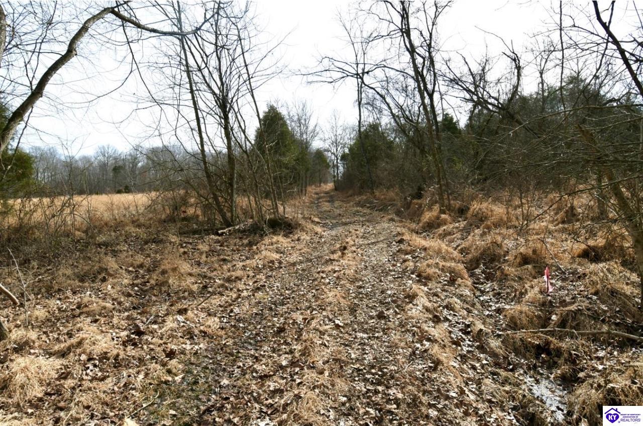 405 Robbin Lane Cub Run, KY 42729 #2