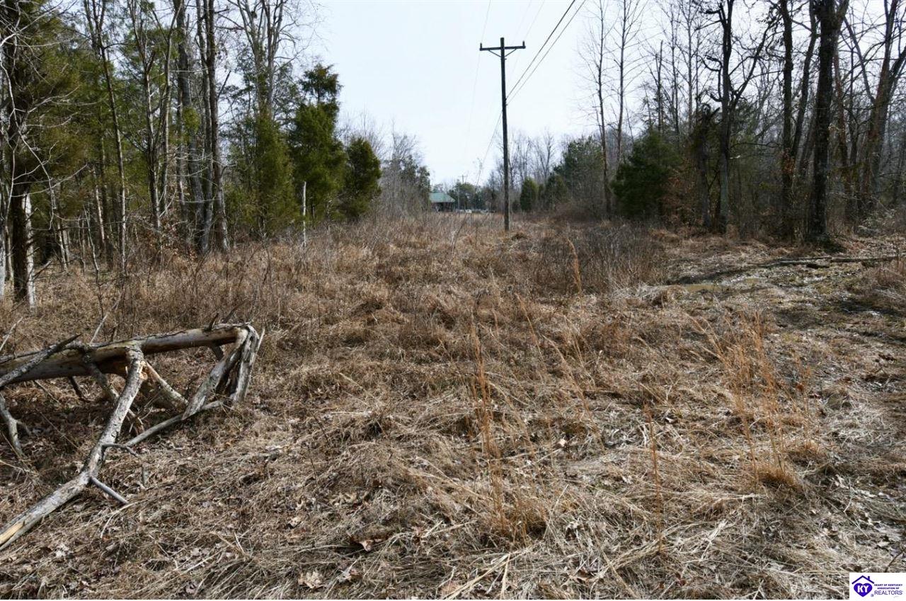 405 Robbin Lane Cub Run, KY 42729 #3