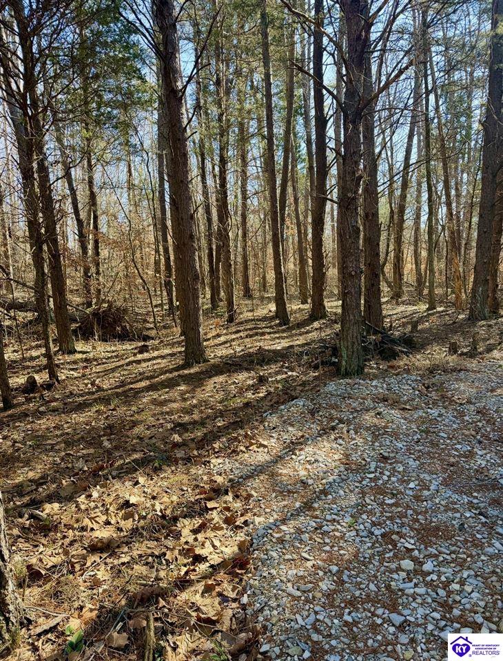 405 Robbin Lane Cub Run, KY 42729 #4