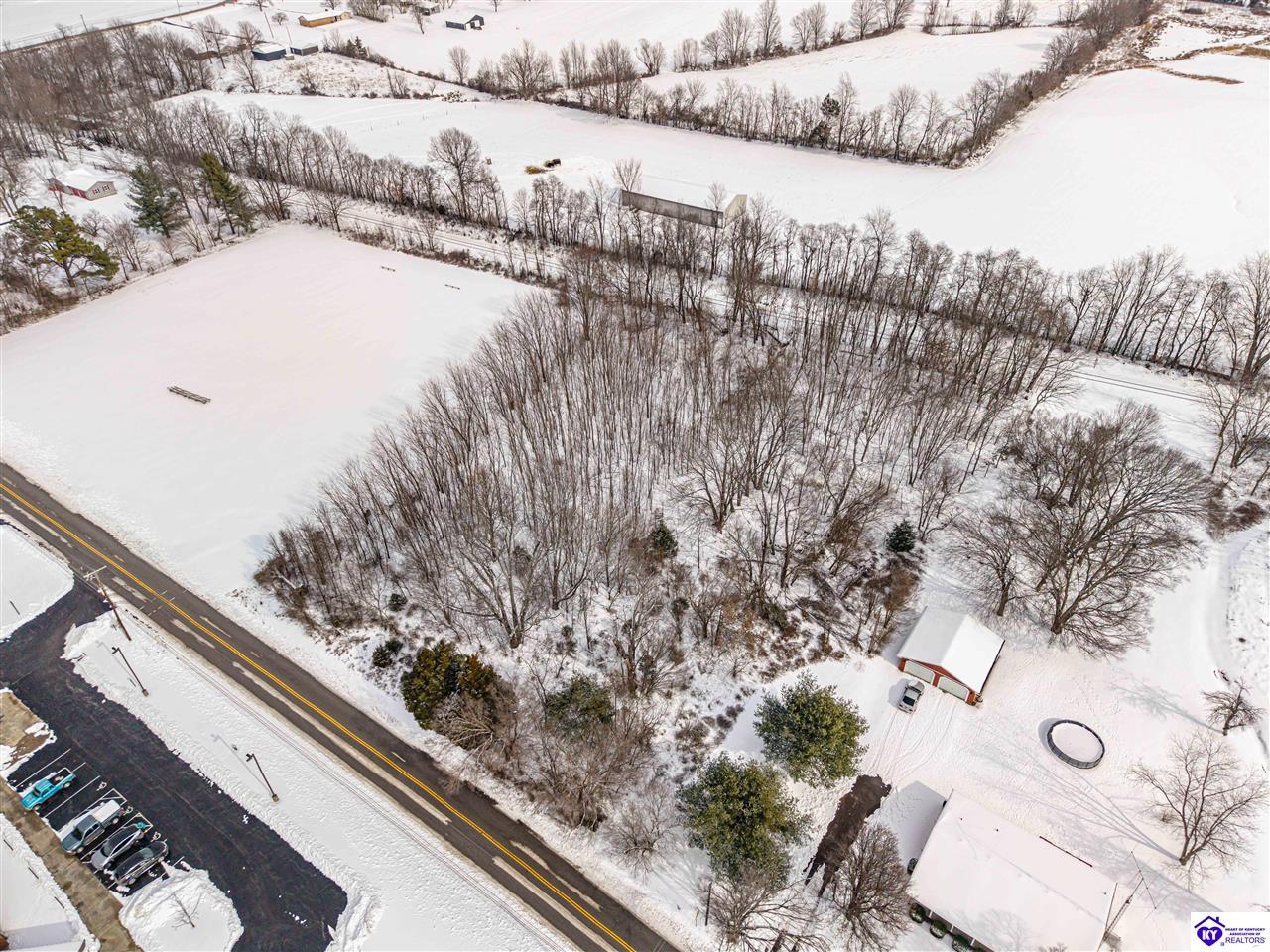 LOT 1 CW Acres Rineyville School Road Rineyville, KY 40162 #1