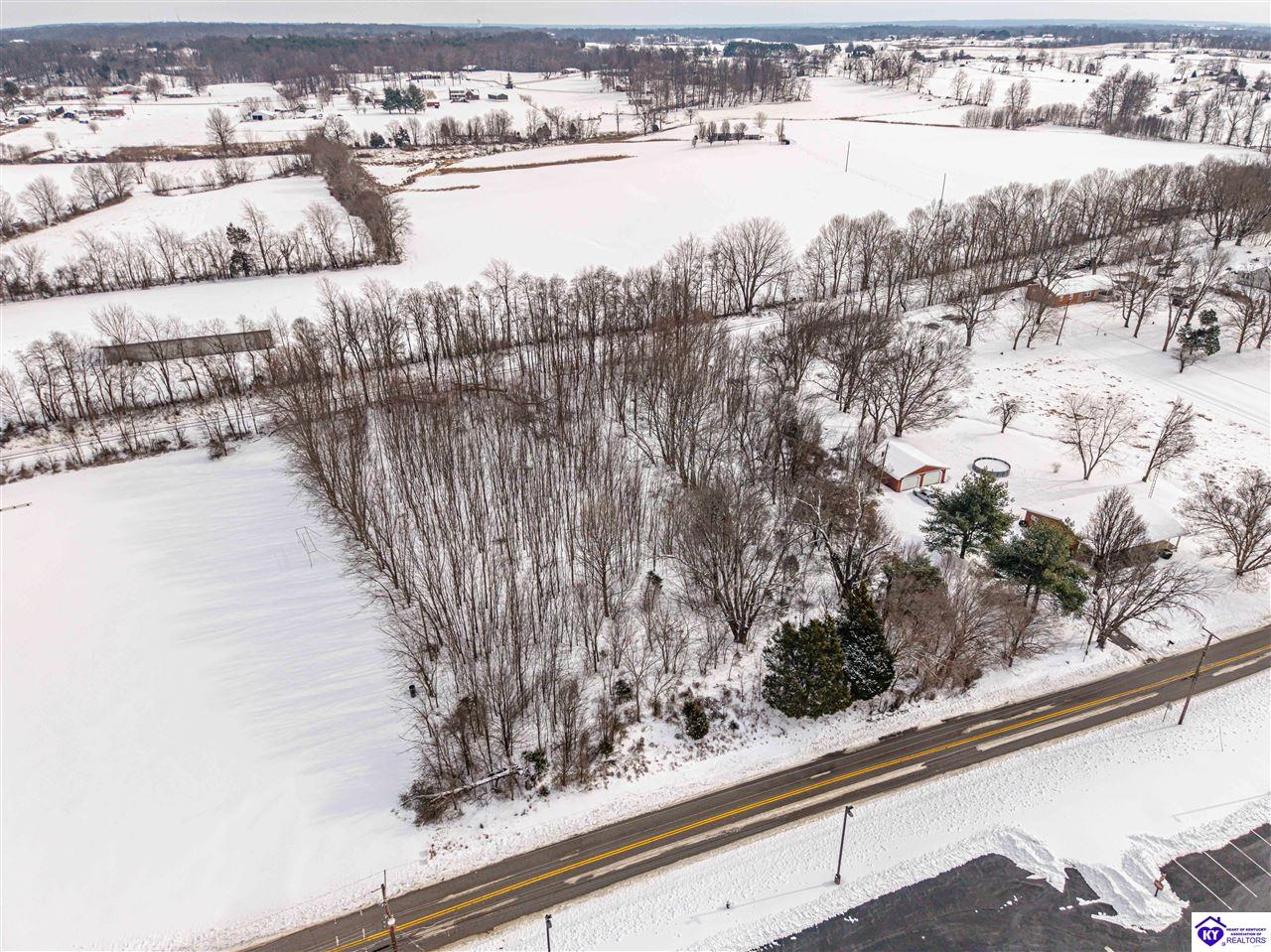 LOT 2 CW Acres Rineyville School Road Rineyville, KY 40162 #2