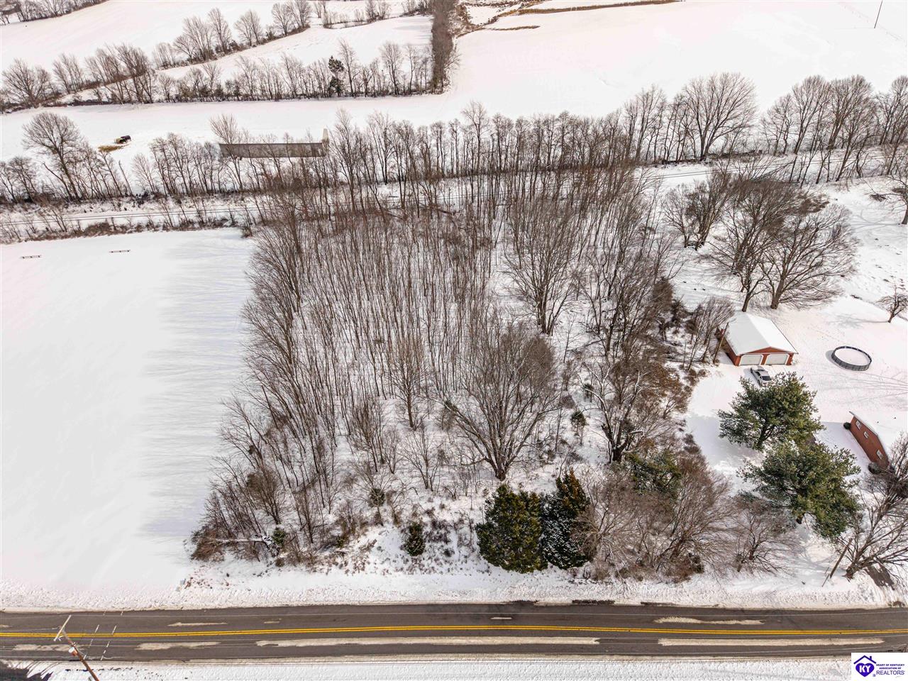 LOT 2 CW Acres Rineyville School Road Rineyville, KY 40162 #3