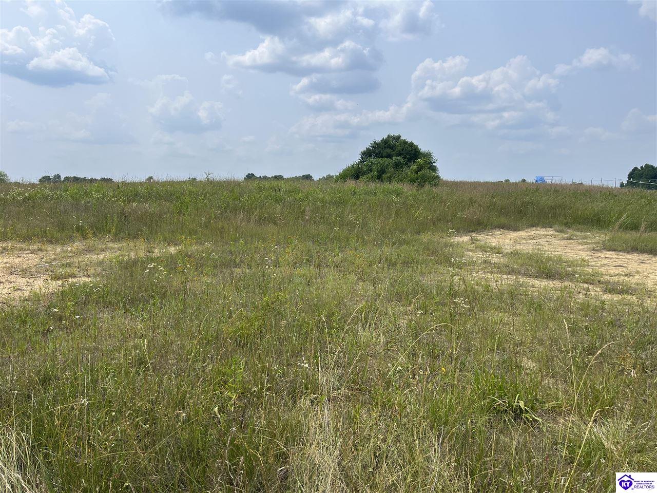 8410 Hardinsburg RoadCuster,&nbsp;KY&nbsp;40115