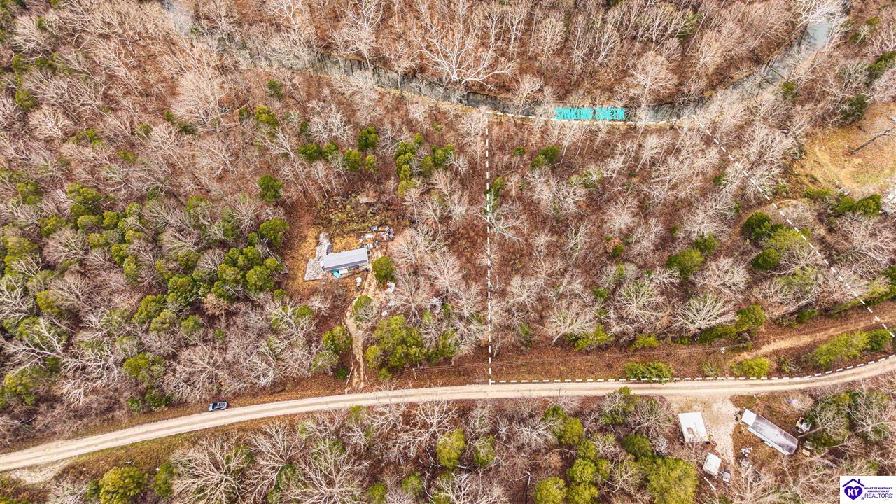 181 Abbey Lane Irvington, KY 40146 #3