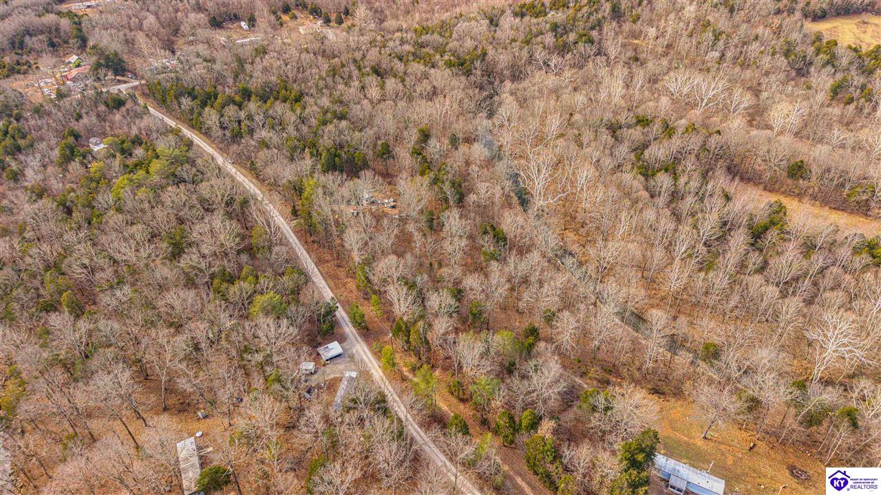 181 Abbey Lane Irvington, KY 40146 #4