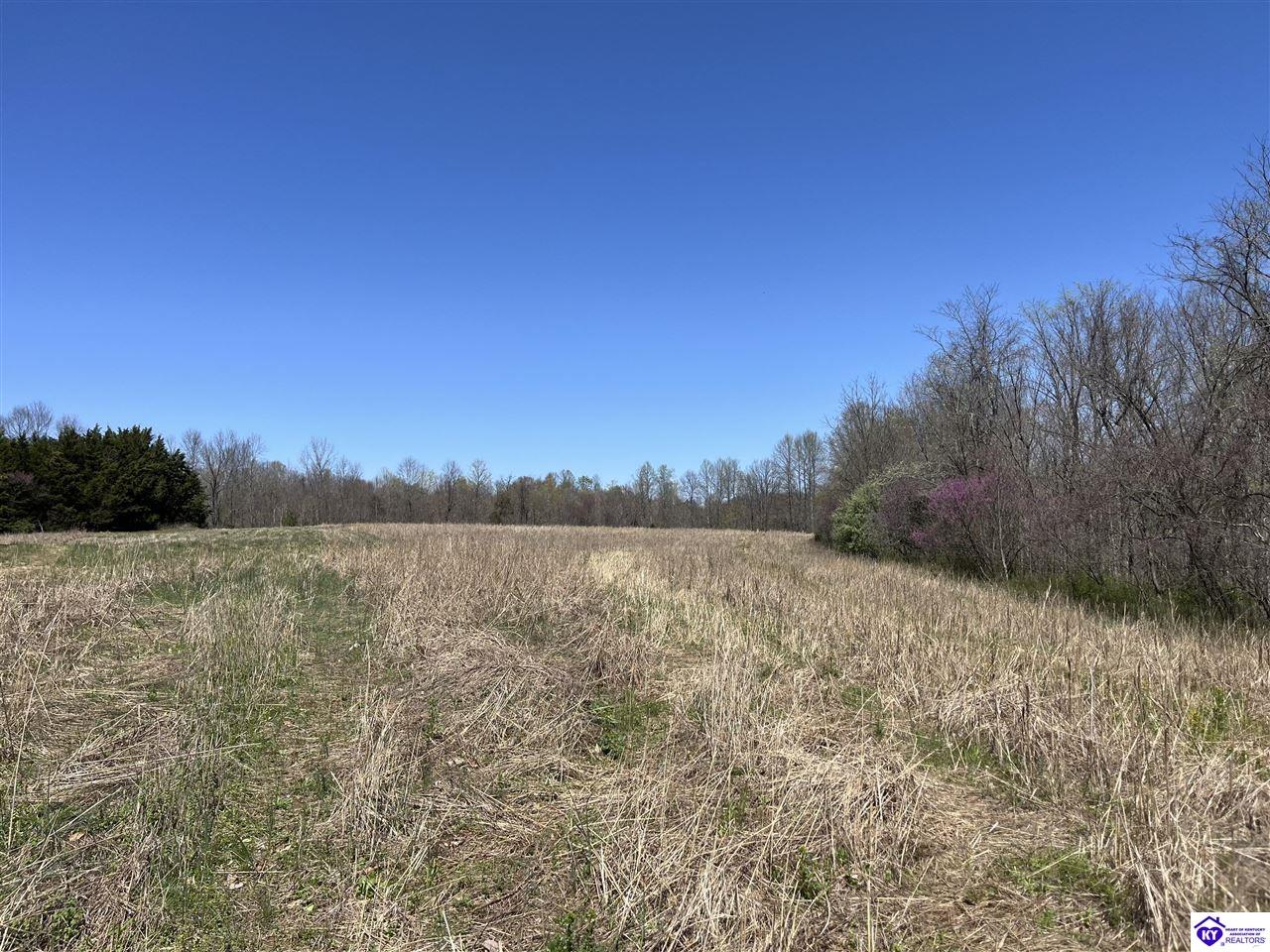 TRACT 3 Price Hill Spur Road Campbellsville, KY 42718 #1