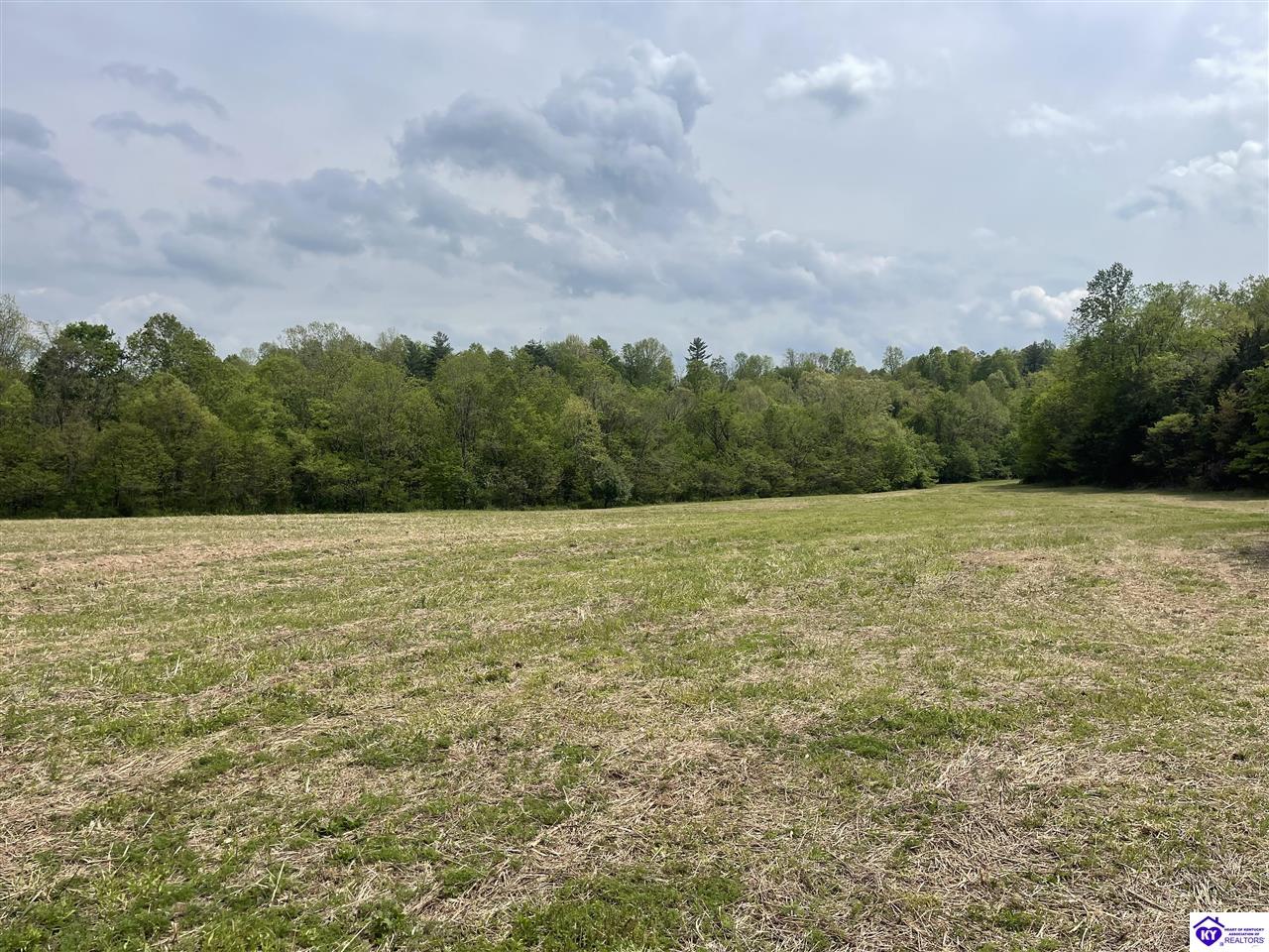 TRACT 3 Price Hill Spur Road Campbellsville, KY 42718 #2