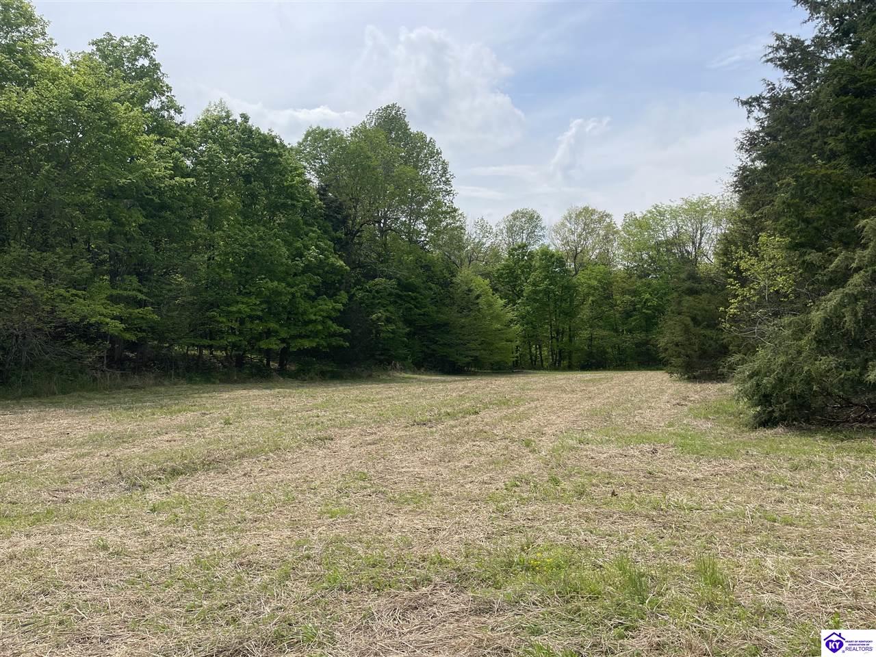 TRACT 3 Price Hill Spur Road Campbellsville, KY 42718 #3
