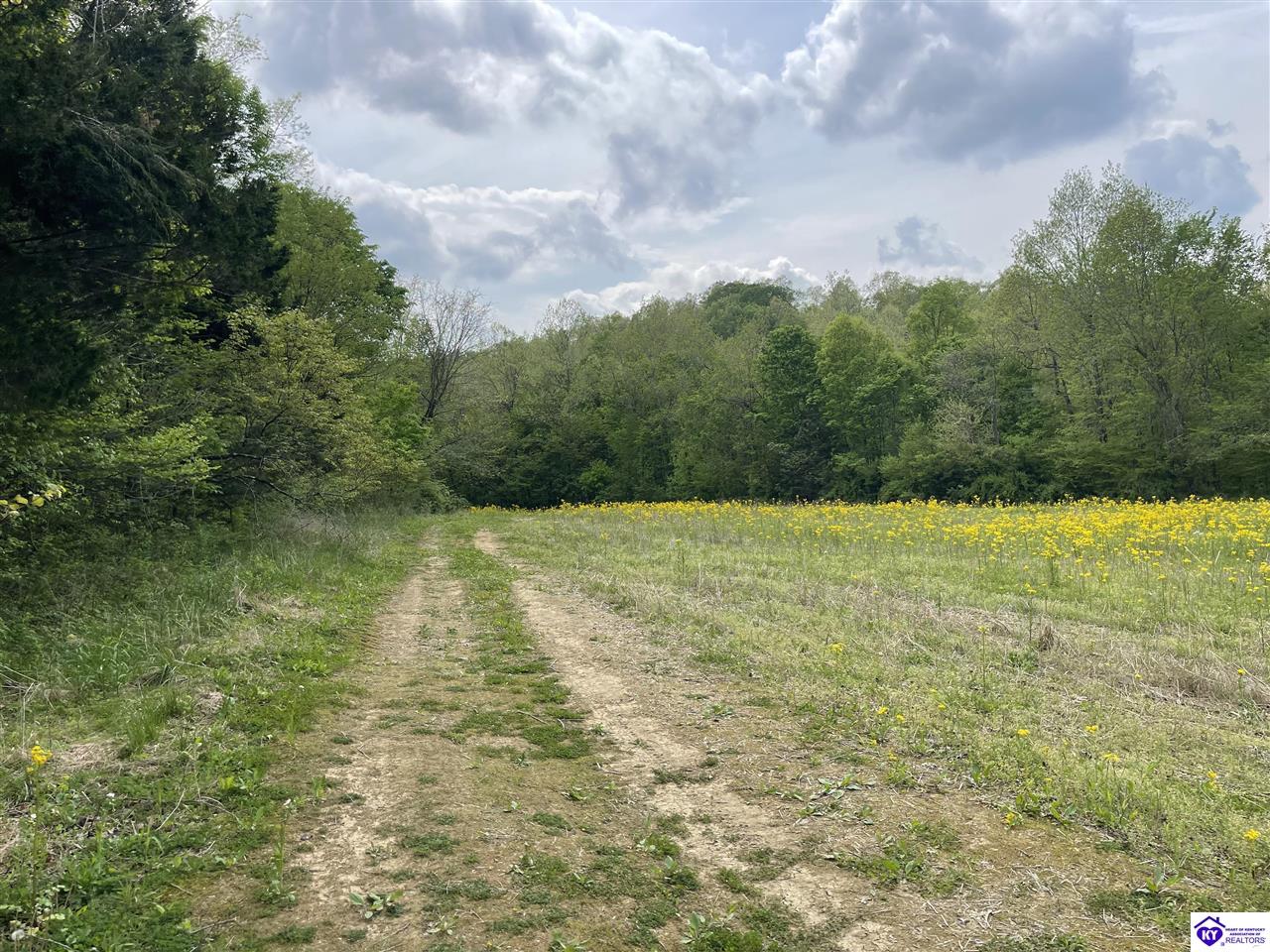 TRACT 3 Price Hill Spur Road Campbellsville, KY 42718 #4