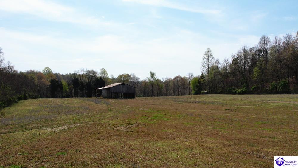 923 Price Hill Spur Road Campbellsville, KY 42718 #3