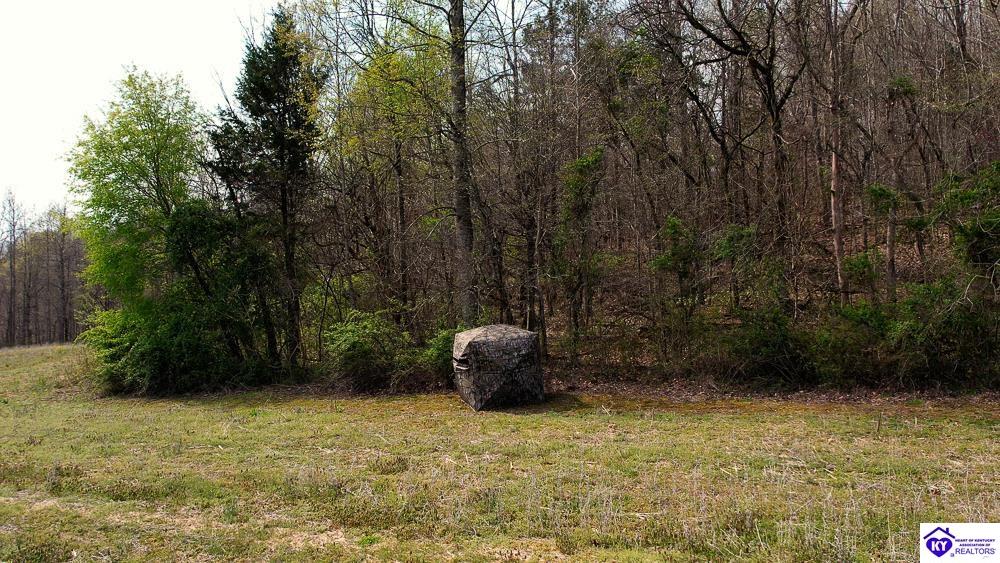 923 Price Hill Spur Road Campbellsville, KY 42718 #4