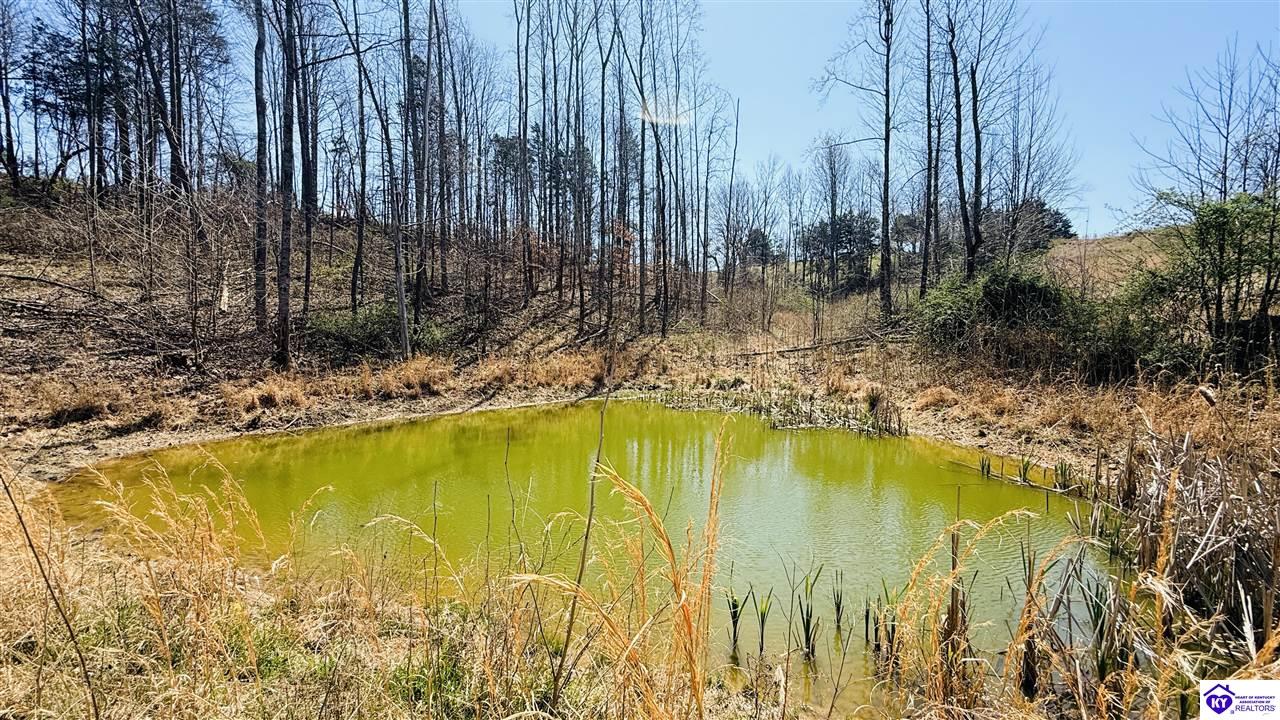 2358 Fry Ridge Road Greensburg, KY 42743 #1