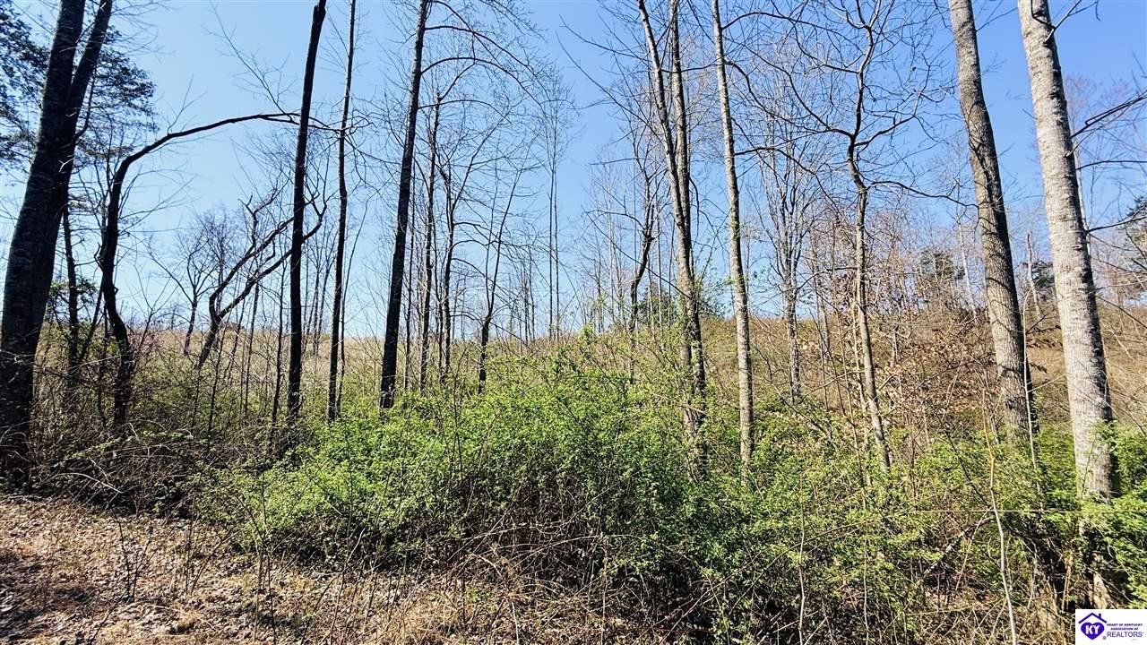 2358 Fry Ridge Road Greensburg, KY 42743 #2