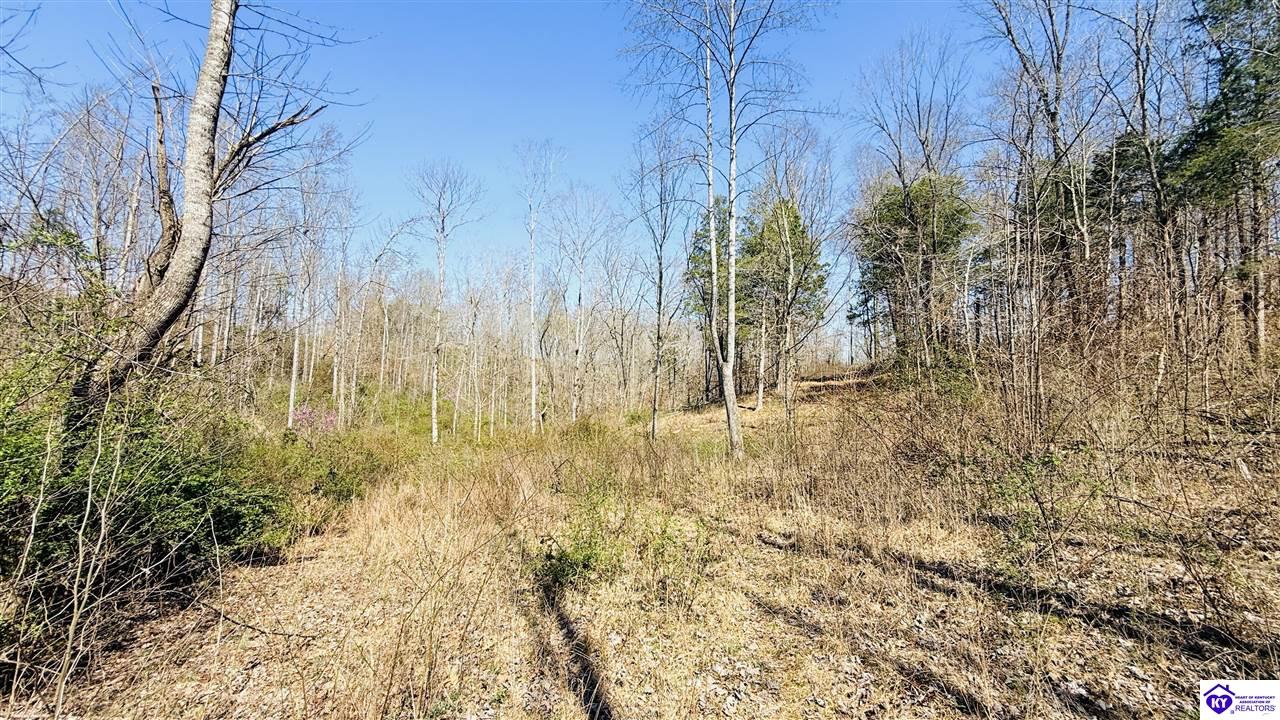 2358 Fry Ridge Road Greensburg, KY 42743 #3