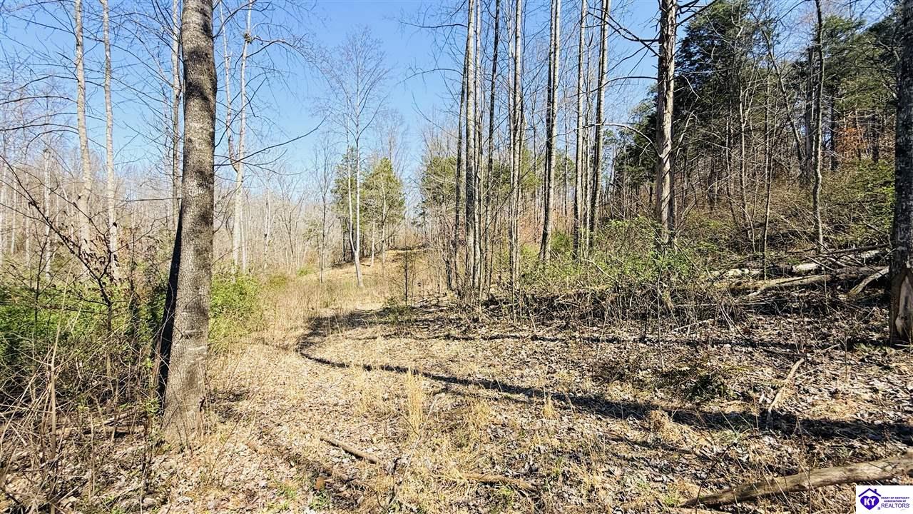 2358 Fry Ridge Road Greensburg, KY 42743 #4