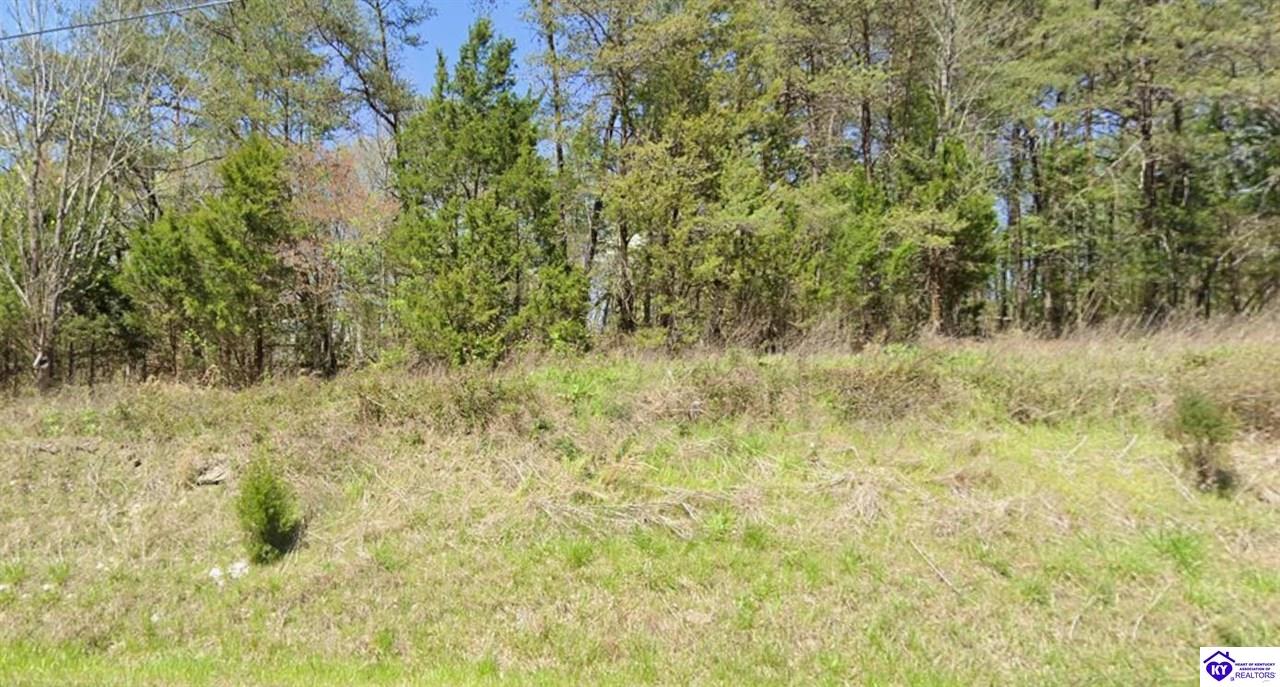 1.91 AC Brier Creek RoadMammoth Cave,&nbsp;KY&nbsp;42259