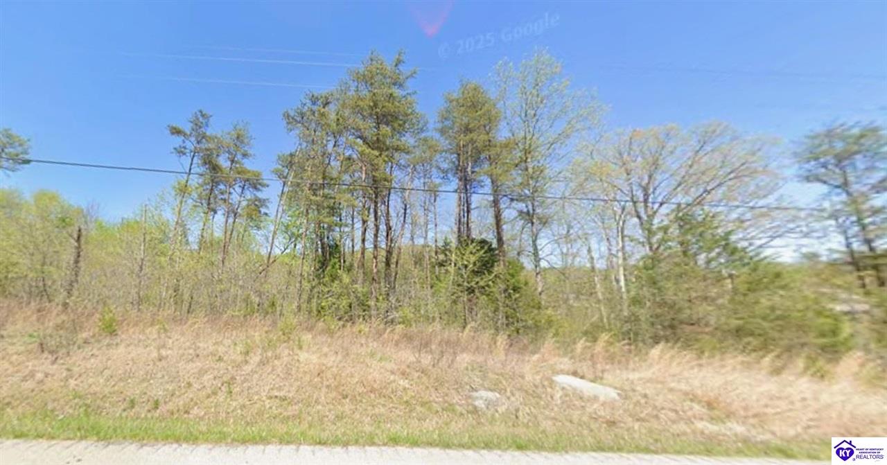 1.68AC Brier Creek RoadMammoth Cave,&nbsp;KY&nbsp;42259