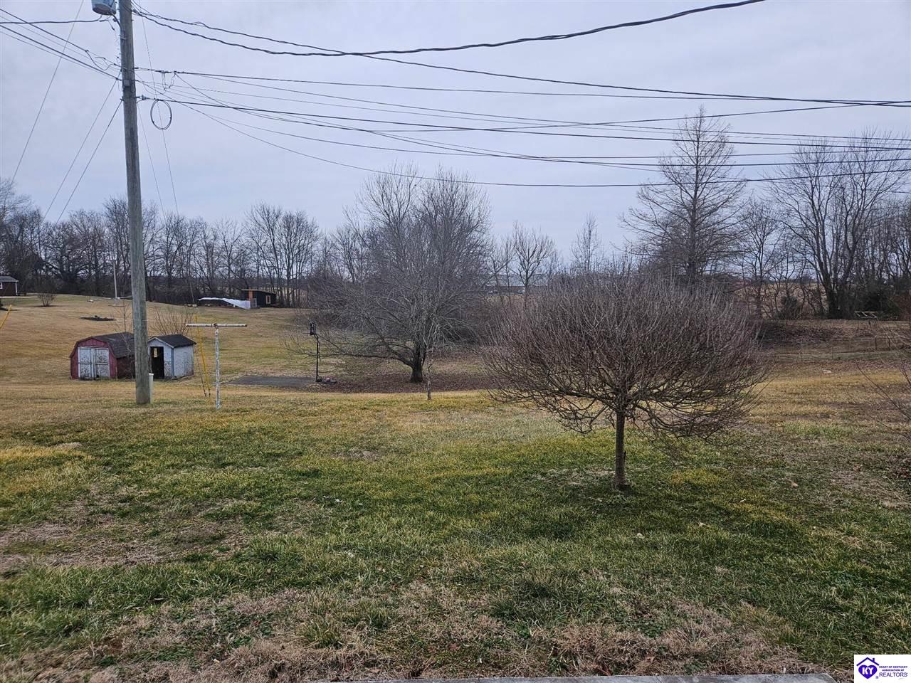 49 Patsy Avenue Hodgenville, KY 42748 #3