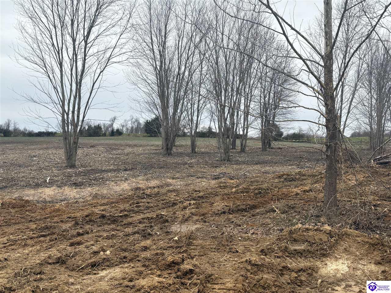 Lot 16 Owl Creek Drive Vine Grove, KY 40175 #2