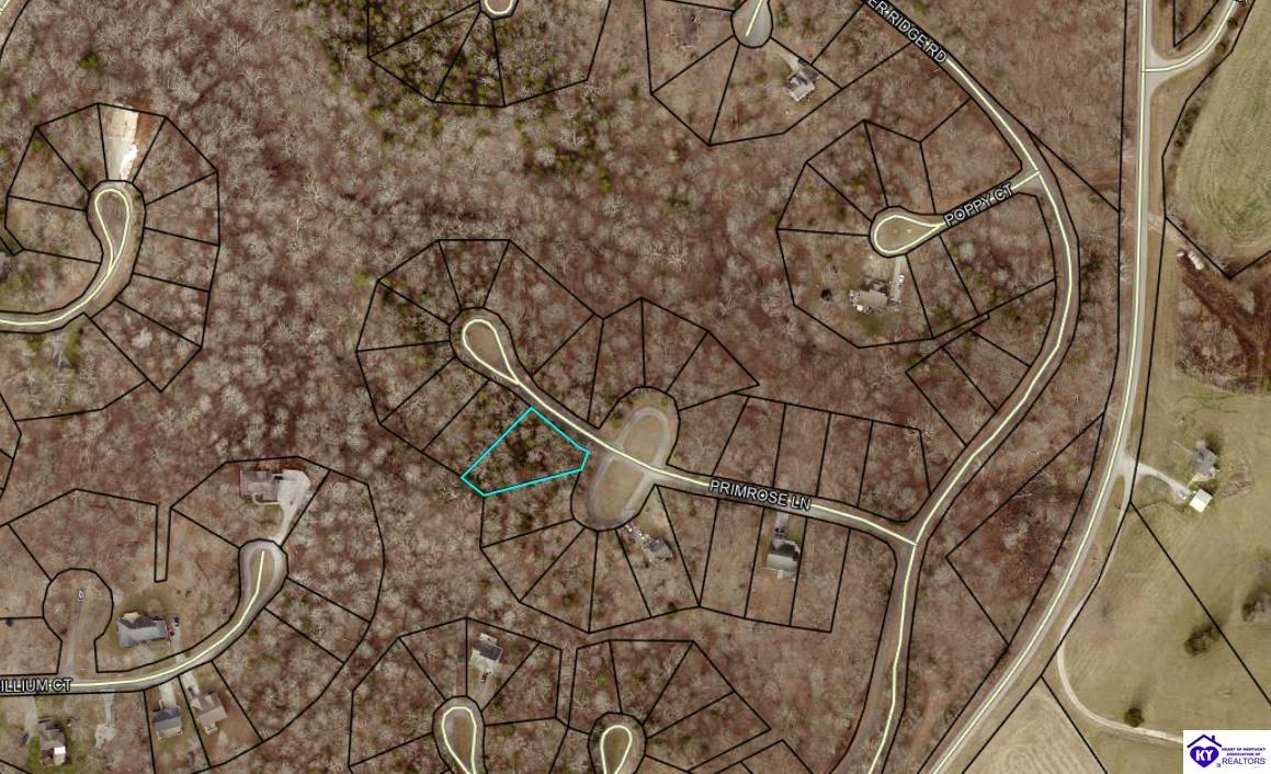 137 Primrose Lane Brandenburg, KY 40108 #1